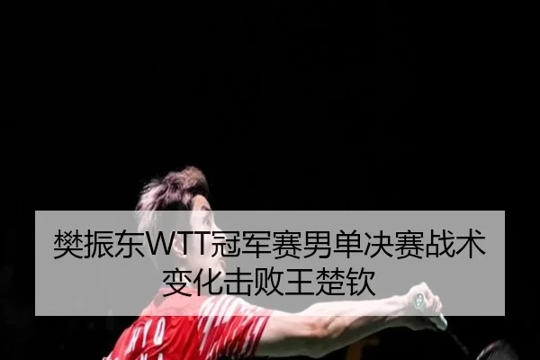 樊振东WTT冠军赛男单决赛战术变化击败王楚钦